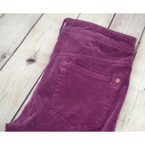 PILCRO and the LETTERPRESS Anthropologie High Rise Skinny Corduroy Pants 28 - Picture 3 of 9